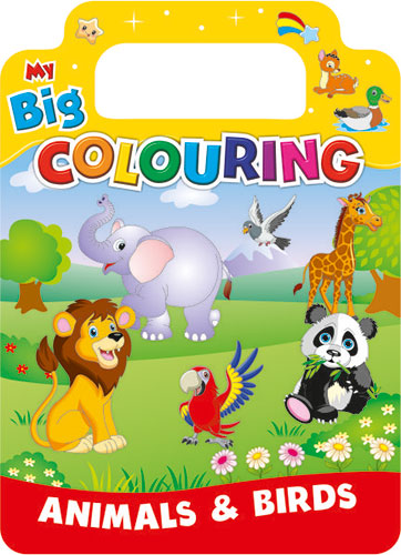 SET OF MY BIG COLOURING BOOKS
