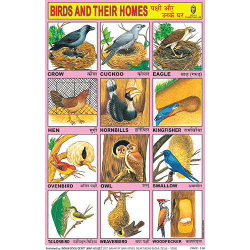 BIRDS THEIR HOMES SIZE 24 X 36 CMS CHART 138 - Main Image