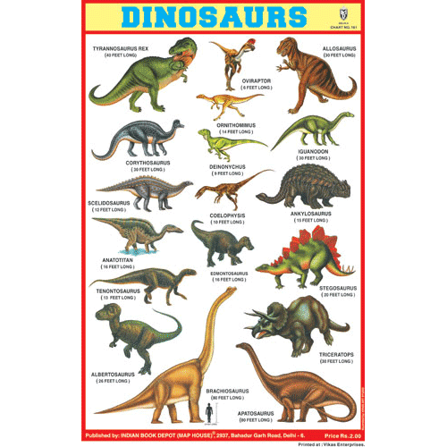 DINOSAURS CHART SIZE 12X18 (INCHS) 300GSM ARTCARD
