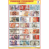 FOREIGN CURRENCY CHART SIZE 12X18 (INCHS) 300GSM ARTCARD - Indian Book Depot (Map House)