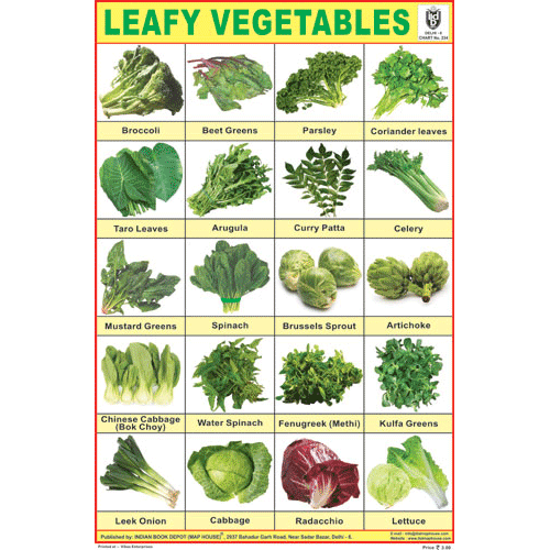 Green Leafy Vegetable Chart Greens School Project Chart