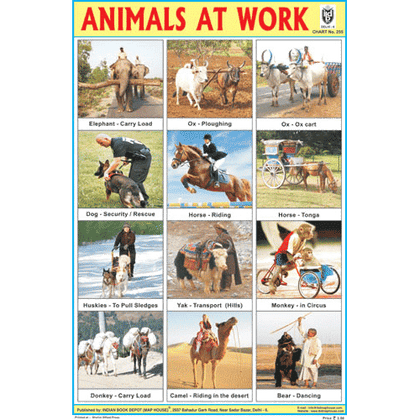 ANIMALS AT WORK CHART SIZE 12X18 (INCHS) 300GSM ARTCARD - Indian Book Depot (Map House)