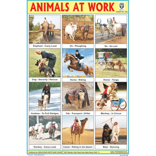 ANIMALS AT WORK SIZE 24 X 36 CMS CHART NO. 255