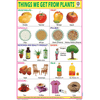 THINGS WE GET FROM PLANTS CHART SIZE 12X18 (INCHS) 300GSM ARTCARD - Indian Book Depot (Map House)