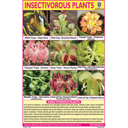 INSECTIVOROUS PLANTS CHART SIZE 12X18 (INCHS) 300GSM ARTCARD - Indian Book Depot (Map House)