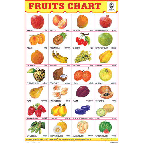 FRUITS CHART (28 PHOTO) SIZE 24 X 36 CMS CHART NO. 36 - Indian Book Depot (Map House)