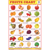 FRUITS CHART (28 PHOTO) SIZE 24 X 36 CMS CHART NO. 36 - Indian Book Depot (Map House)