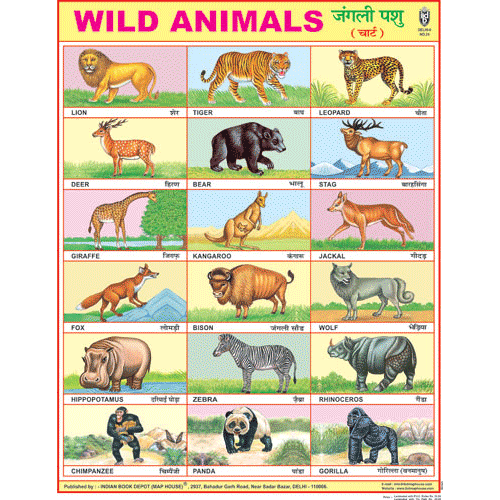 WILD ANIMALS CHART SIZE 45 X 57 CMS - Indian Book Depot (Map House)