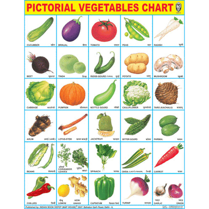 VEGETABLES CHART SIZE 45 X 57 CMS - Indian Book Depot (Map House)