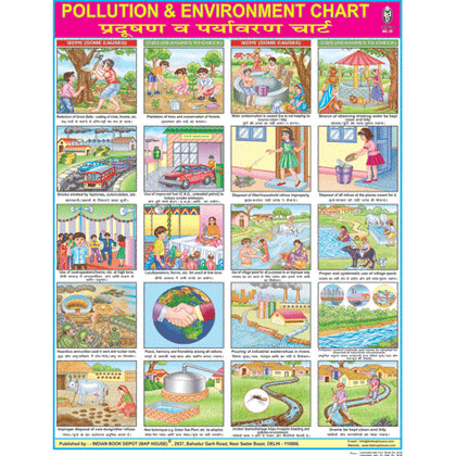 POLLUTION & EVNIRONMENT CHART SIZE 45 X 57 CMS - Indian Book Depot (Map House)