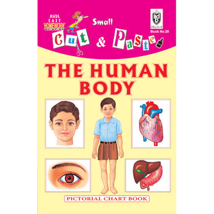 Cut and paste book of THE HUMAN BODY - Indian Book Depot (Map House)