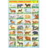 ANIMALS (32 PHOTOS) CHART SIZE 50 X 75 CMS - Indian Book Depot (Map House)