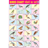 BIRDS CHART SIZE 50 X 75 CMS - Indian Book Depot (Map House)