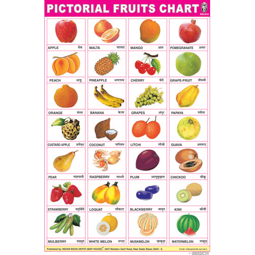 FRUITS CHART SIZE 50 X 75 CMS - Indian Book Depot (Map House)