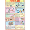 FIRST AID CHART (ENGLISH) CHART SIZE 50 X 75 CMS - Indian Book Depot (Map House)