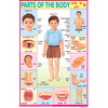 PARTS OF THE BODY CHART SIZE 50 X 75 CMS - Indian Book Depot (Map House)