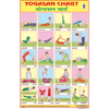 YOGASAN CHART CHART SIZE 50 X 75 CMS - Indian Book Depot (Map House)