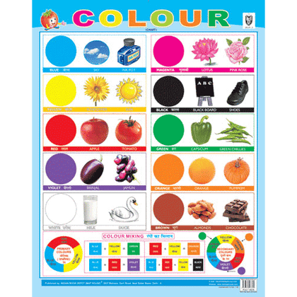 COLOURS CHART SIZE 55 X 70 CMS - Indian Book Depot (Map House)