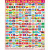 FLAGS OF THE NATIONS CHART SIZE 55 X 70 CMS - Indian Book Depot (Map House)