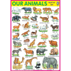 OUR ANIMALS CHART SIZE 70 X 100 CMS - Indian Book Depot (Map House)