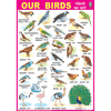 OUR BIRDS CHART SIZE 70 X 100 CMS - Indian Book Depot (Map House)
