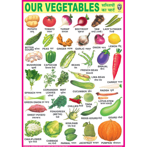 OUR VEGETABLES CHART SIZE 70 X 100 CMS - Indian Book Depot (Map House)