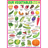 OUR VEGETABLES CHART SIZE 70 X 100 CMS - Indian Book Depot (Map House)