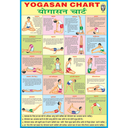 YOGASAN CHART CHART SIZE 70 X 100 CMS - Indian Book Depot (Map House)