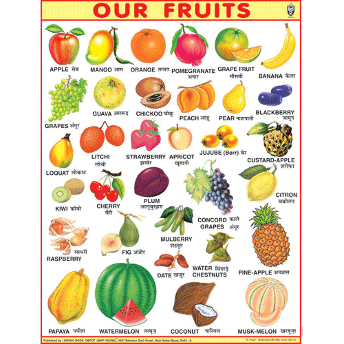 OUR FRUITSJUMBO CHART SIZE 100 X 140 CMS - Indian Book Depot (Map House)