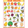 OUR FRUITSJUMBO CHART SIZE 100 X 140 CMS - Indian Book Depot (Map House)