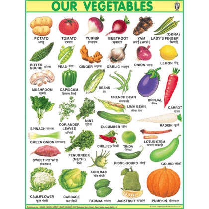 OUR VEGETABLESJUMBO CHART SIZE 100 X 140 CMS - Indian Book Depot (Map House)