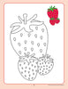 Colouring Book of Fruits & Vegetables