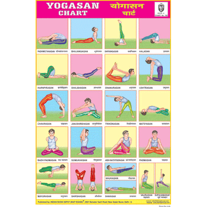 YOGASAN CHART SIZE 24 X 36 CMS CHART NO. 102 - Indian Book Depot (Map House)