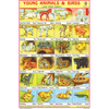 YOUNG ANIMALS & BIRDS SIZE 24 X 36 CMS CHART NO. 103 - Indian Book Depot (Map House)