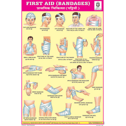 BANDAGES CHART SIZE 12X18 (INCHS) 300GSM ARTCARD - Indian Book Depot (Map House)