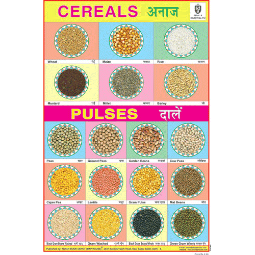 CEREALS & PULSES SIZE 24 X 36 CMS CHART NO. 112 - Indian Book Depot (Map House)