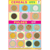 CEREALS & PULSES SIZE 24 X 36 CMS CHART NO. 112 - Indian Book Depot (Map House)