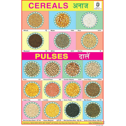 CEREALS & PULSES CHART SIZE 12X18 (INCHS) 300GSM ARTCARD - Indian Book Depot (Map House)