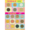 CEREALS & PULSES CHART SIZE 12X18 (INCHS) 300GSM ARTCARD - Indian Book Depot (Map House)