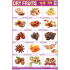DRY FRUITS CHART SIZE 24 X 36 CMS CHART NO. 129 - Indian Book Depot (Map House)