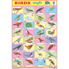 BIRDS CHART 32 PHOTOS SIZE 24 X 36 CMS CHART NO. 13 - Indian Book Depot (Map House)