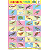 BIRDS CHART 32 PHOTOS CHART SIZE 12X18 (INCHS) 300GSM ARTCARD - Indian Book Depot (Map House)