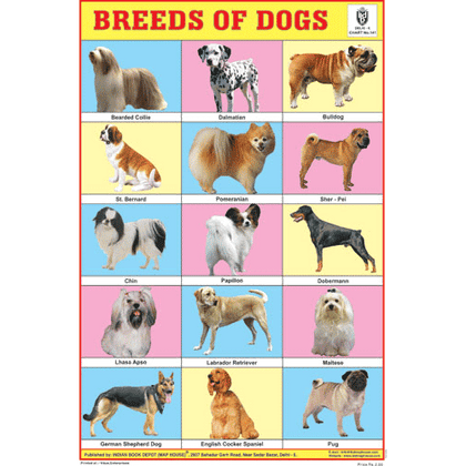 BREEDS OF DOGS CHART SIZE 12X18 (INCHS) 300GSM ARTCARD - Indian Book Depot (Map House)