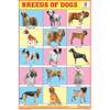 BREEDS OF DOGS CHART SIZE 12X18 (INCHS) 300GSM ARTCARD - Indian Book Depot (Map House)