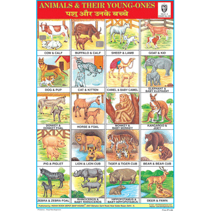 ANIMALS & THEIR YOUNG ONES SIZE 24 X 36 CMS CHART NO. 145 - Indian Book Depot (Map House)