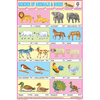 GENDER OF ANIMALS & BIRDS SIZE 24 X 36 CMS CHART NO. 148 - Indian Book Depot (Map House)