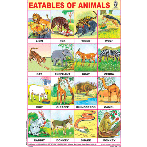 EATABLES OF ANIMALS SIZE 24 X 36 CMS CHART NO. 151 - Indian Book Depot (Map House)