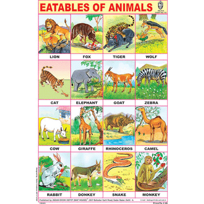 EATABLES OF ANIMALS CHART SIZE 12X18 (INCHS) 300GSM ARTCARD - Indian Book Depot (Map House)