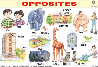 OPPOSITES CHART SIZE 12X18 (INCHS) 300GSM ARTCARD - Indian Book Depot (Map House)