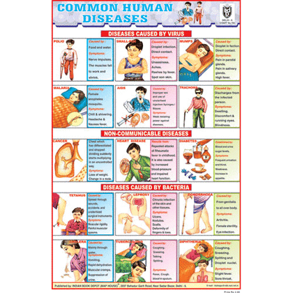 COMMAN HUMAN DISEASES CHART SIZE 12X18 (INCHS) 300GSM ARTCARD - Indian Book Depot (Map House)